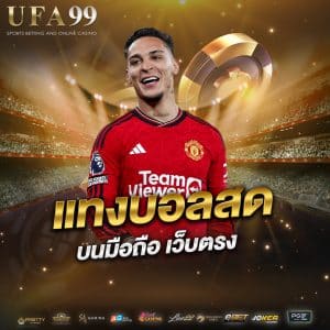 แทงบอลสด